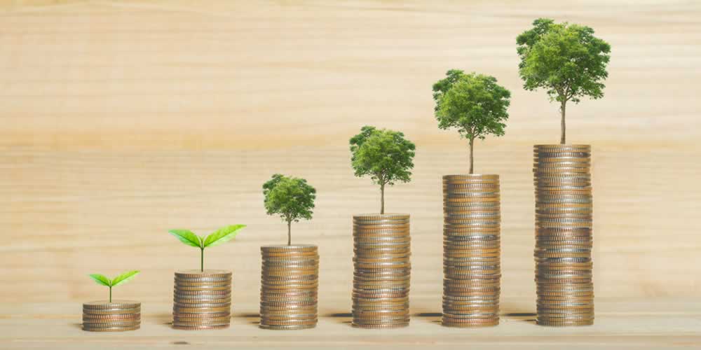 What’s Driving ESG Returns – A Look Under the Hood